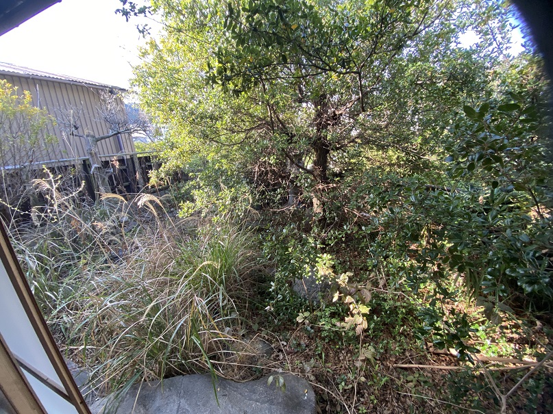 庭木の伐採